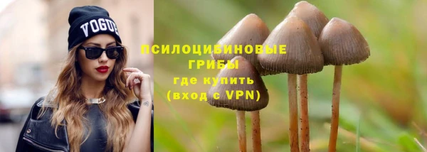 mix Вяземский
