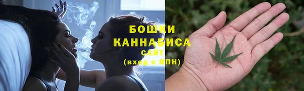 трава Верея