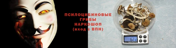 mix Вяземский