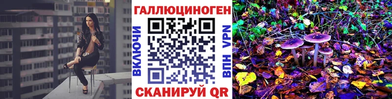 Галлюциногенные грибы GOLDEN TEACHER  закладка  Игарка 